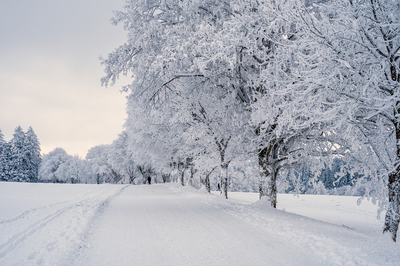 snow, landscape, trees-7646952.jpg